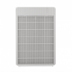 R Model