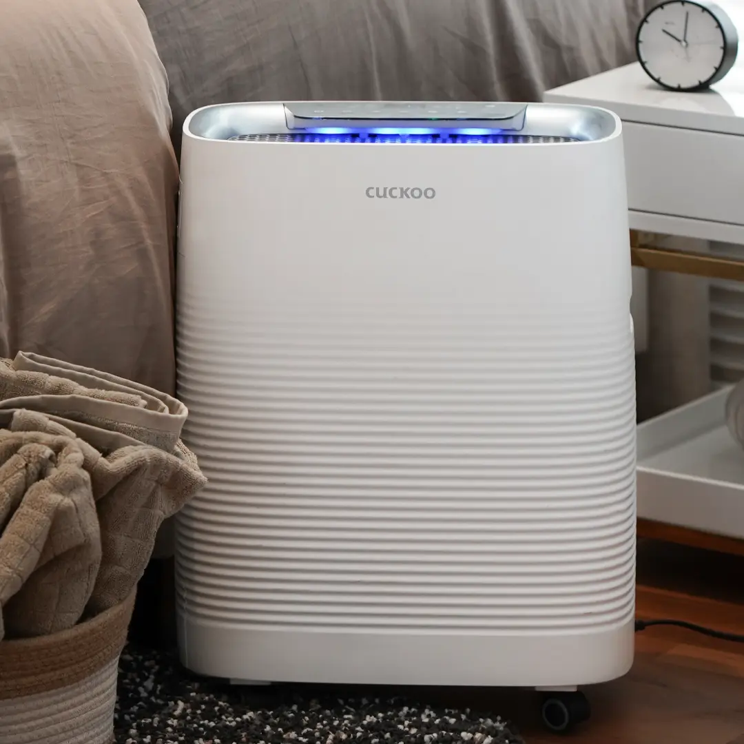 Air Purifiers Image